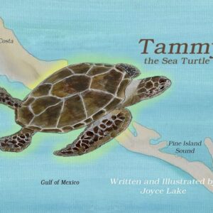 Tammy the Sea Turtle
