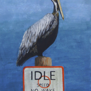 Peggy the Pelican